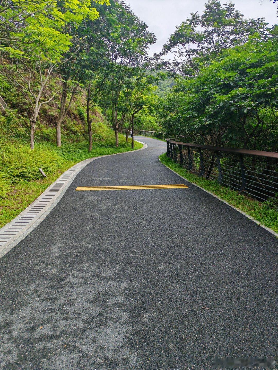小雨，山上很凉快，风景很美！ 深圳·塘朗山郊野公园