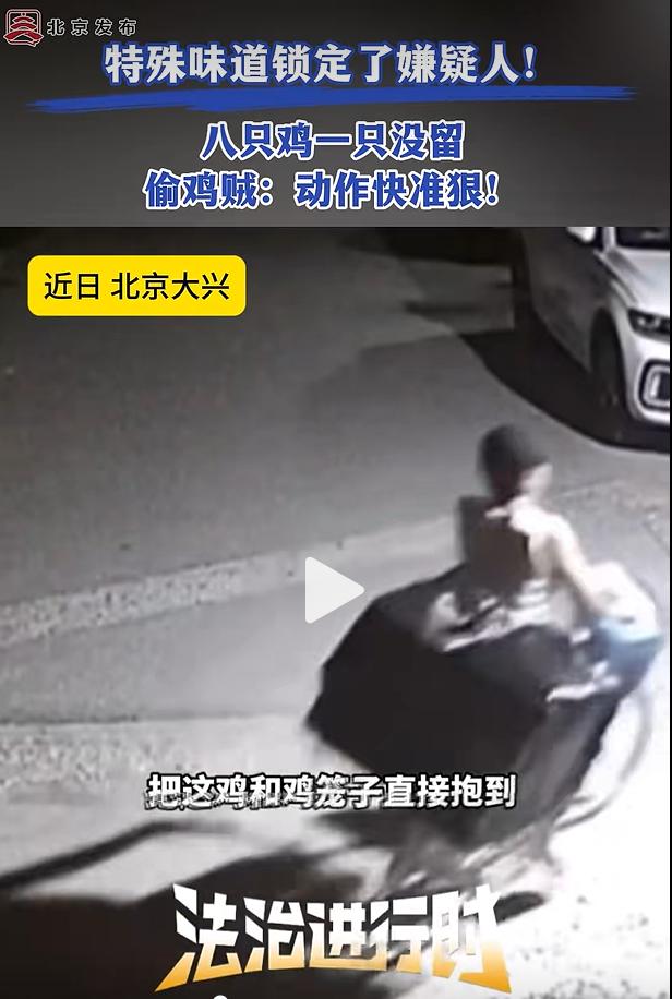 民间常说手莫伸伸手必被捉，近日大兴辖区发生一起家禽被盗案件。一名男子深夜潜入村民