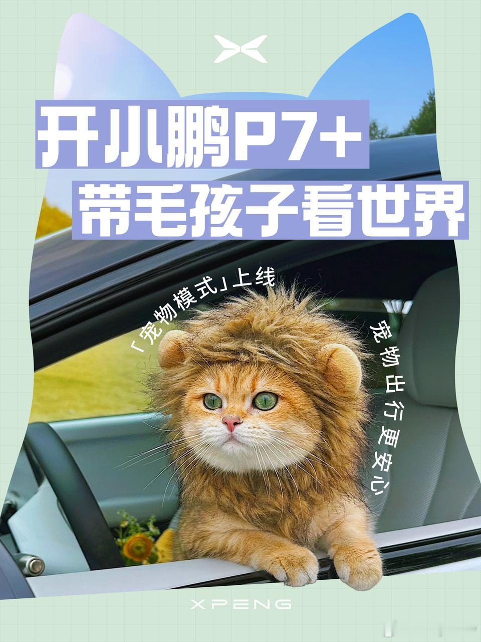 小鹏P7+第9次OTA宠物模式正式上线P7+终于OTA宠物模式啦！APP空调界面