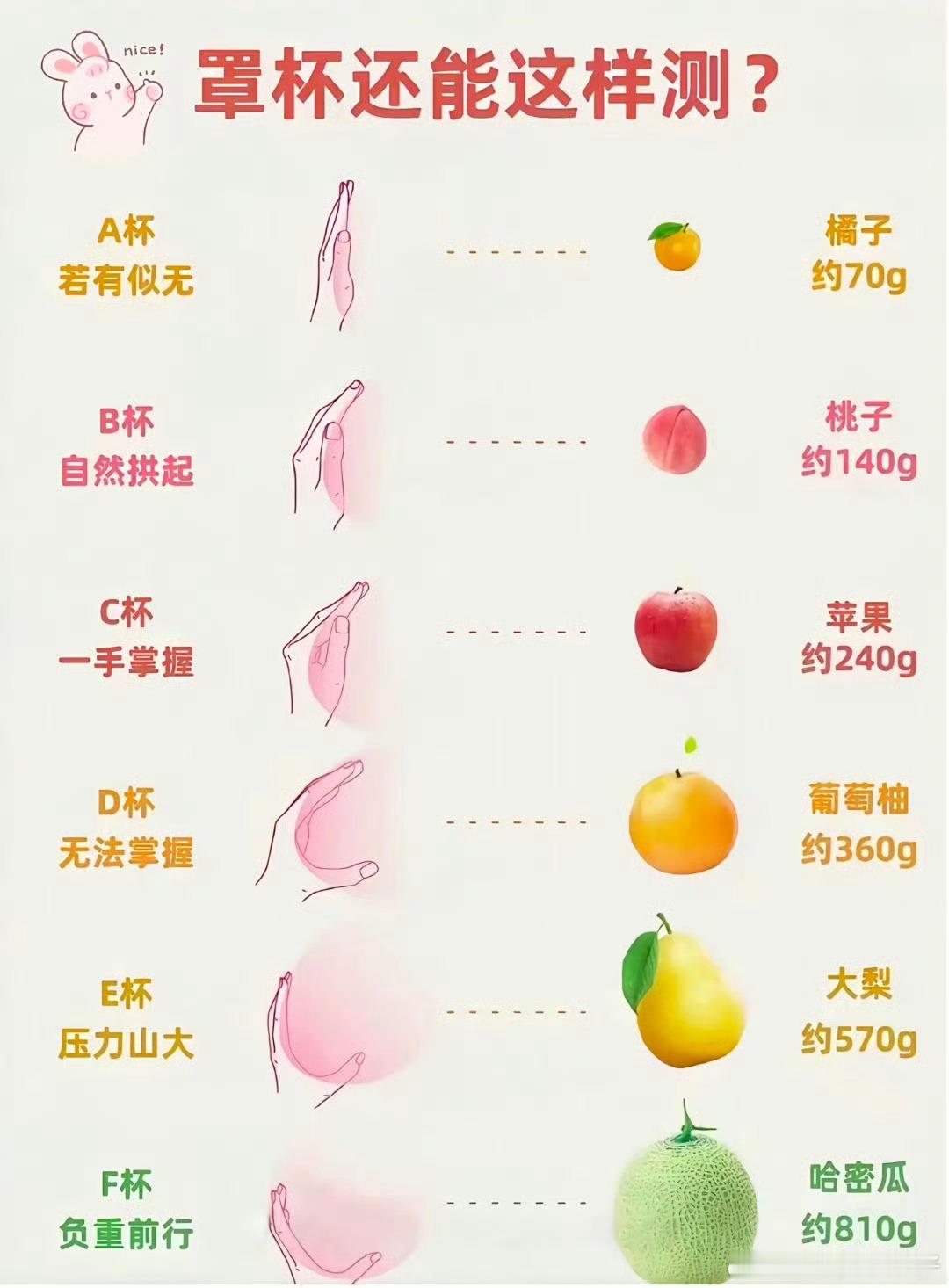 医生说B罩杯以下可以不穿内衣 [污][污][污]，我就不用穿✌🏻 ​​​