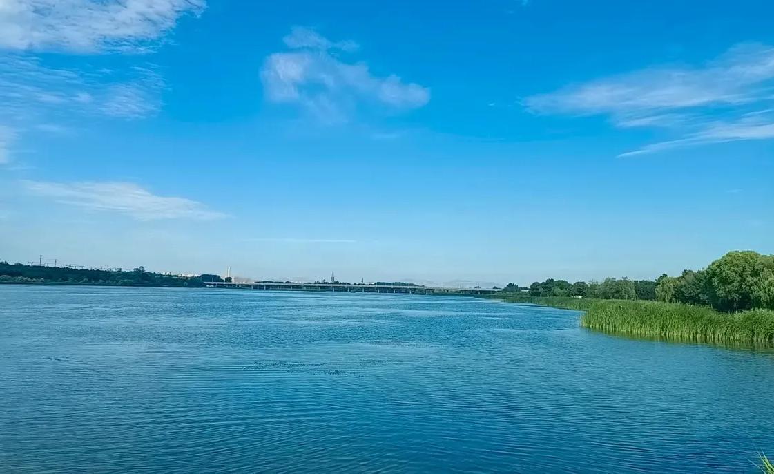 外甥女从成都旅游回来，在我这儿住了几日。来的时候，她往冰箱里塞了三块茶饼，啥也没