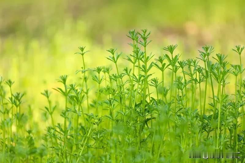 香港这场火灾太让人痛心了。11月30日，警方灾难遇害者辨认组在宏盛阁又发现了遇难