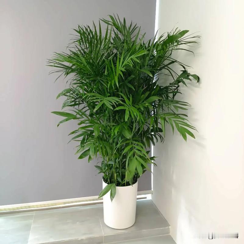 我们老板台湾人，
70多岁了，打拼一辈子，资产十个亿有了，唯一的心病就是独生子4