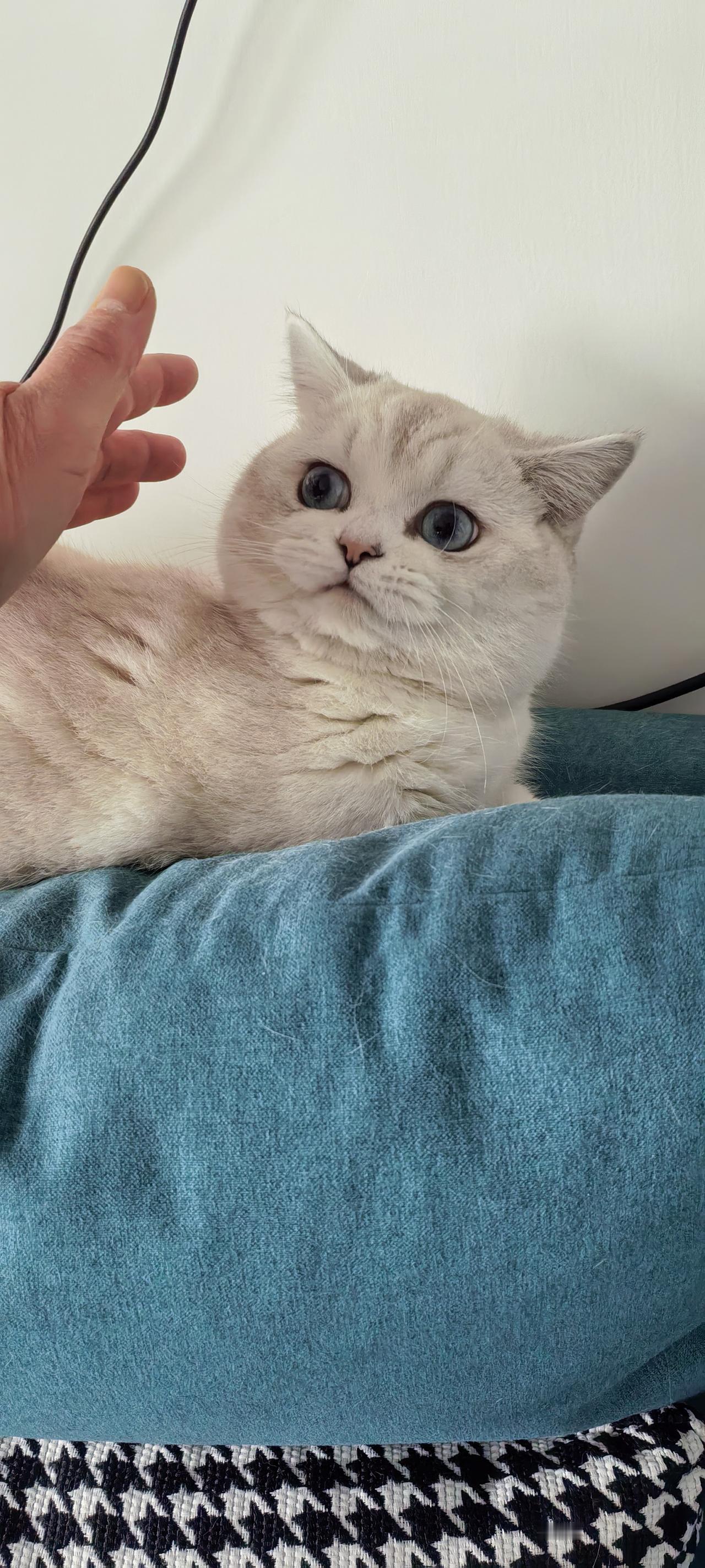 那一刻，我的心被深深触动了。看着它那小小的身影在树干上奋力攀爬，仿佛在告诉我：即