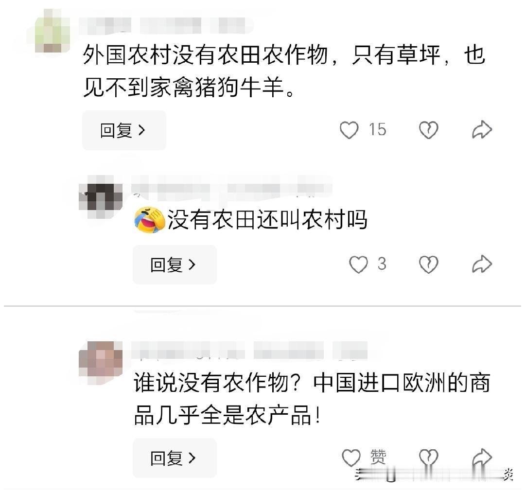 外国农村没有农田、农作物，只有草坪，见不到家禽牛羊等？这是什么逆天观点？难道中国