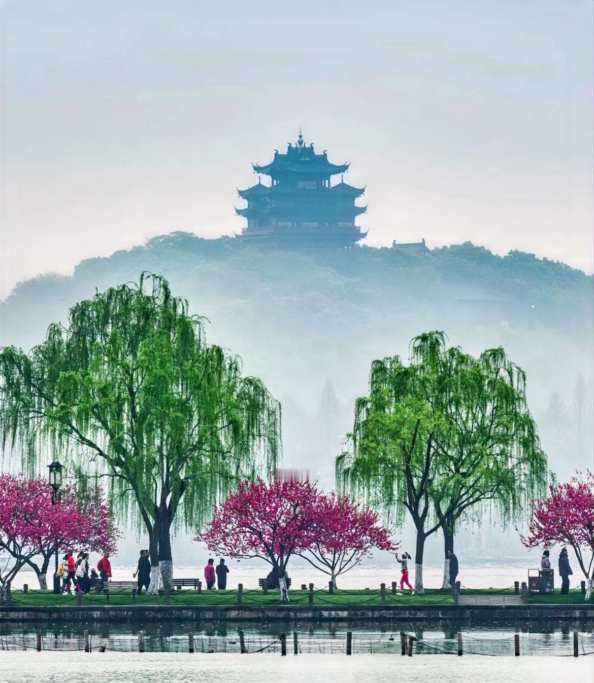 看得我热血沸腾了！

日本投降之后，杭州这片土地上，发生了震撼人心的一幕。

消
