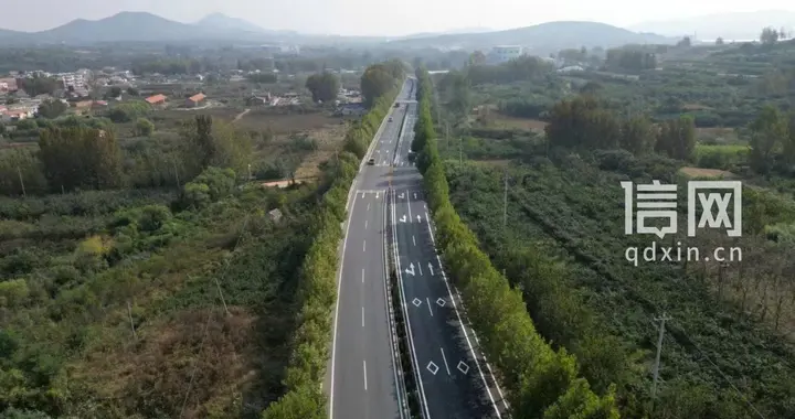 构建养护项目库 青岛“十五五”国省道现代养护发展研究通过专家评审