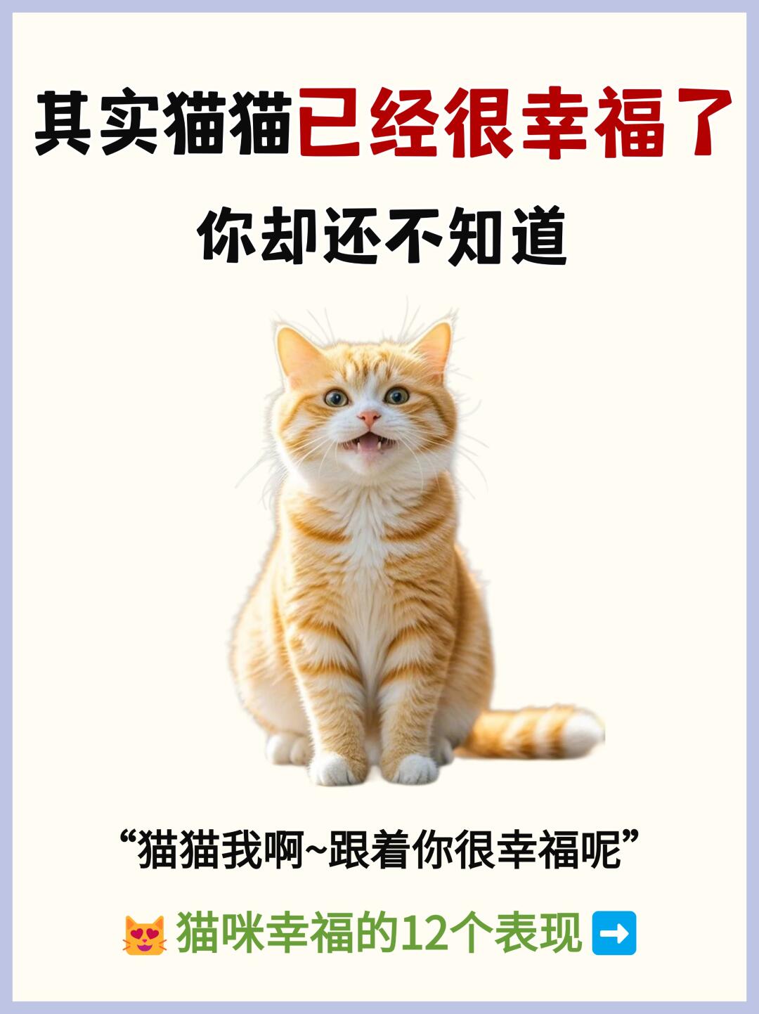😻猫咪超幸福的12个表现❗️你却还不知道