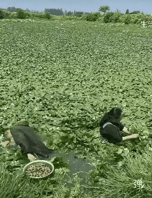 多亏这个人在一起干活，如果这个男子一个人在这干活的话，后果就不堪设想了，也许是天