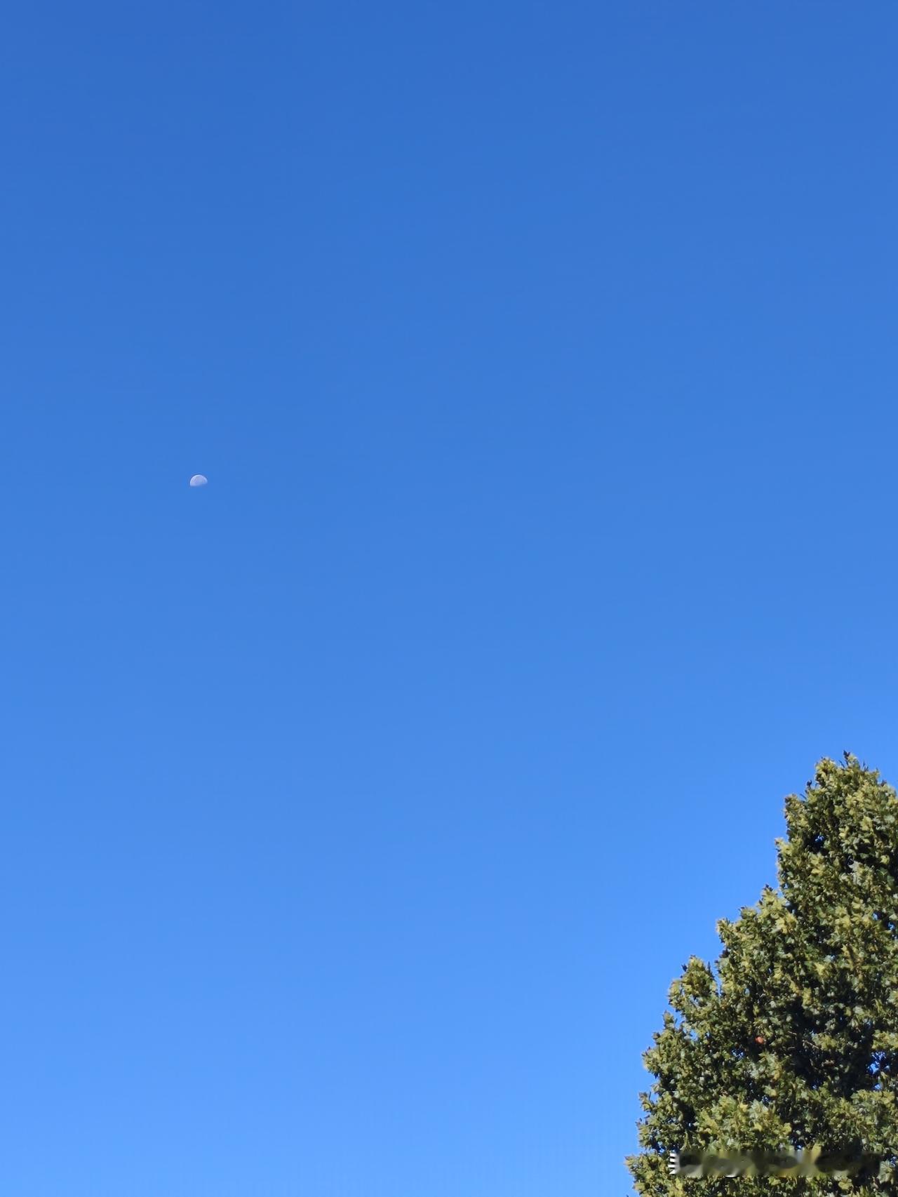 越来越恐惧过节了!
就喜欢日子平常平淡，别起什么波澜。
关系亲好的，平时就聚了；
