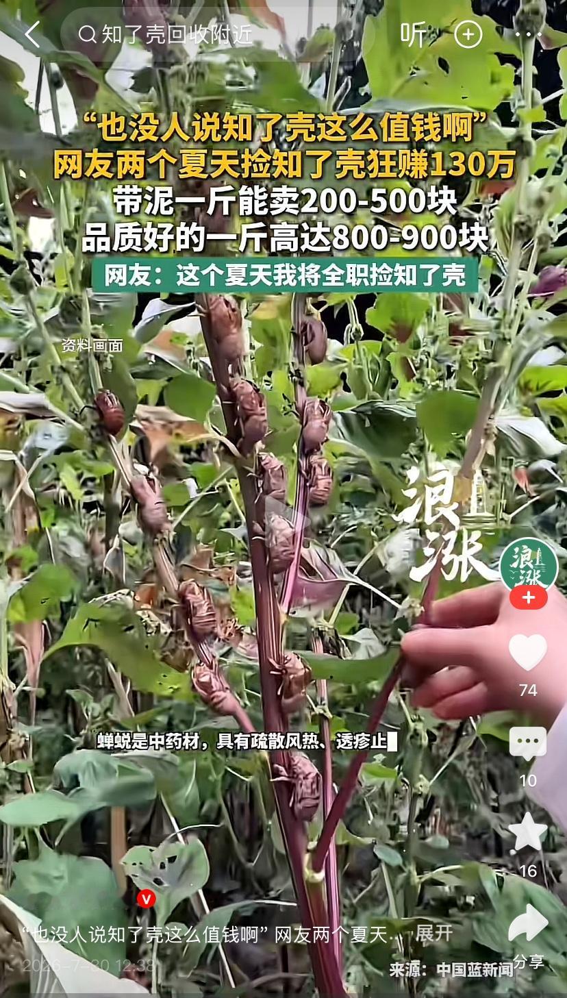 我里个豆来！有个人、两个夏天捡知了猴皮卖了130万！对你没看错是130万！
抛开