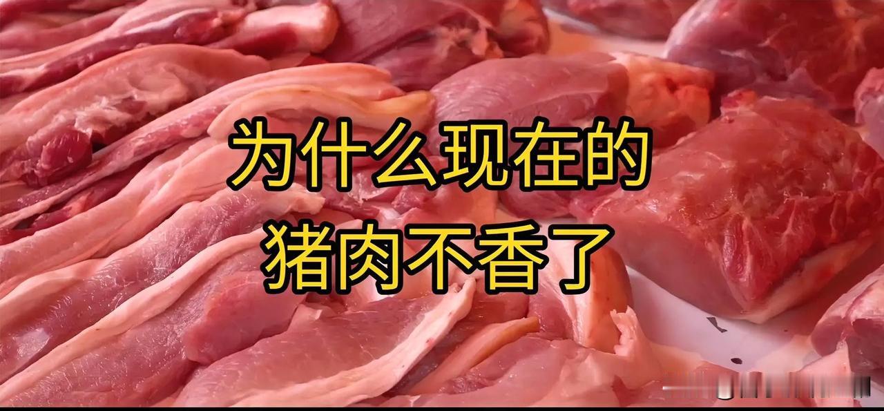 🥩现在的猪肉不香了，原因多样。现代养殖多选瘦肉型猪种，肌内脂肪含量低，香味自然