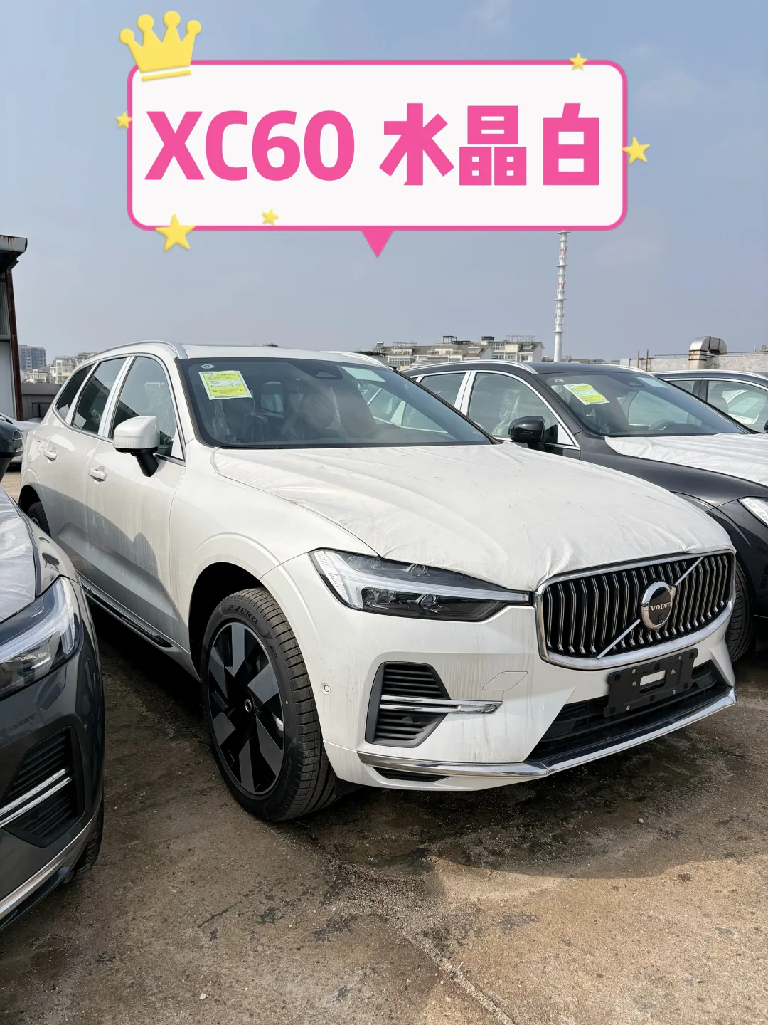 坐标长沙👉沃尔沃XC60到底选什么颜色🥳🥳