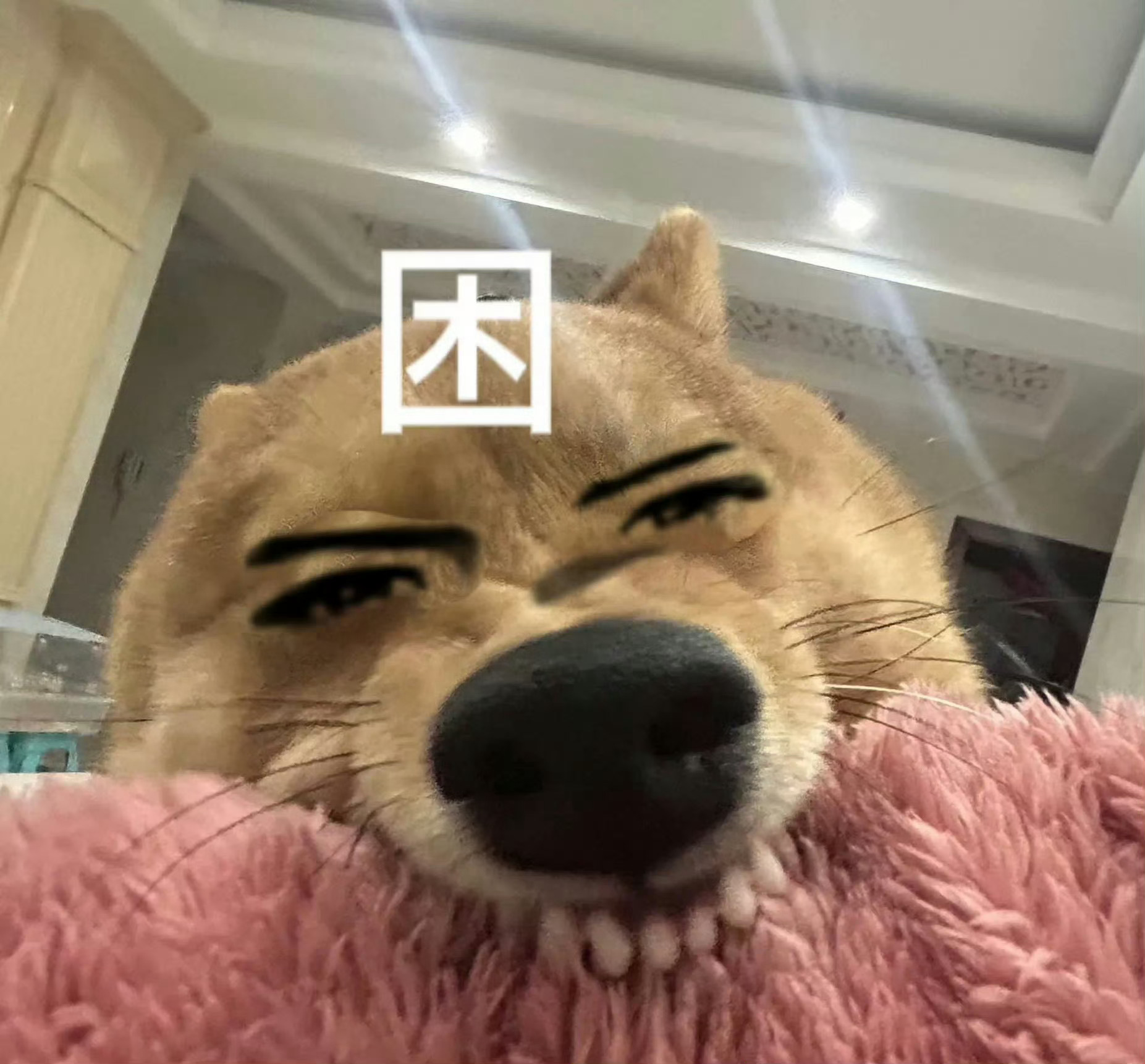 夏以昼打√！打√！你们都给我嗨起来 