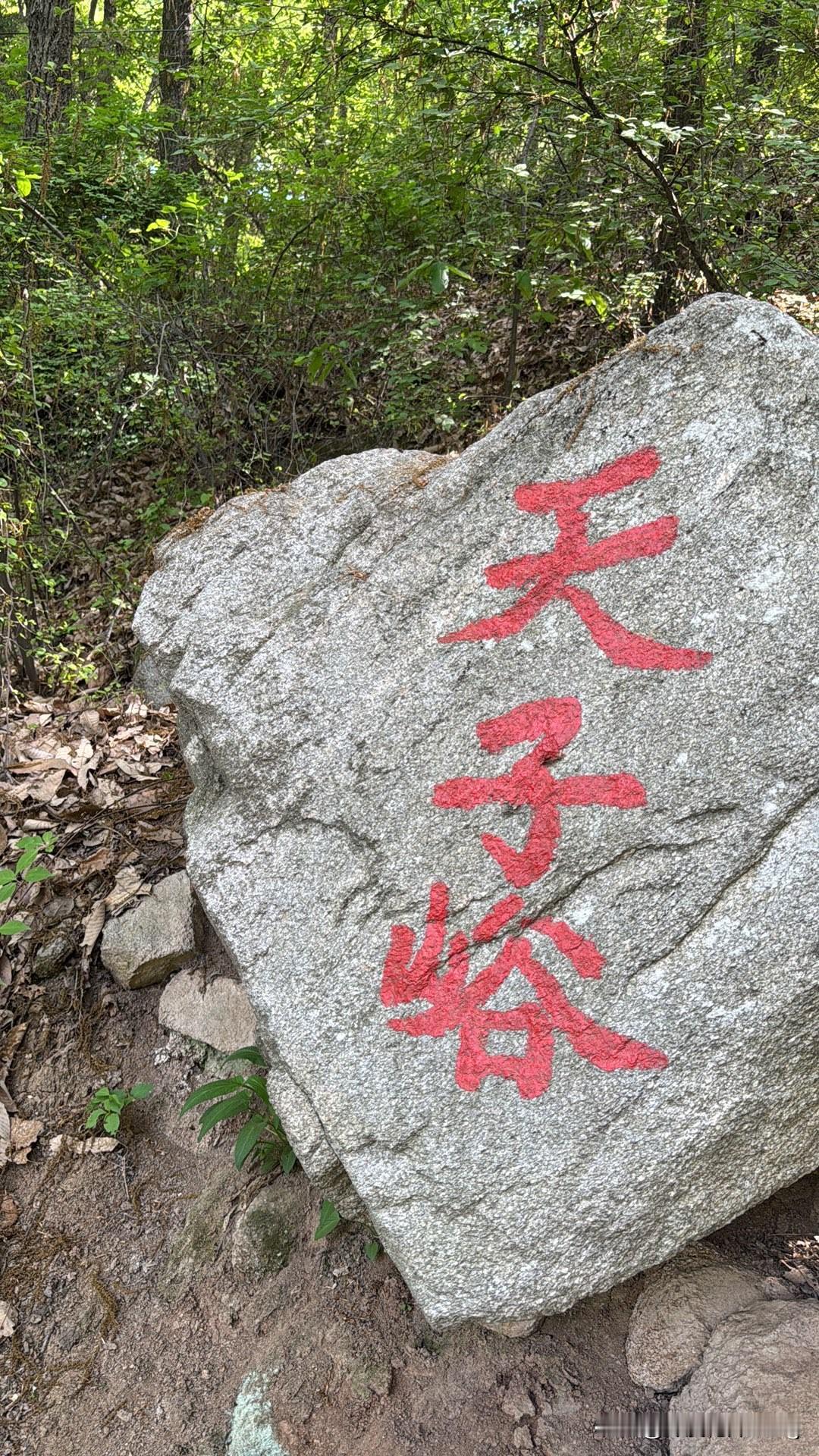 每周一山，打卡天子峪唐王寨