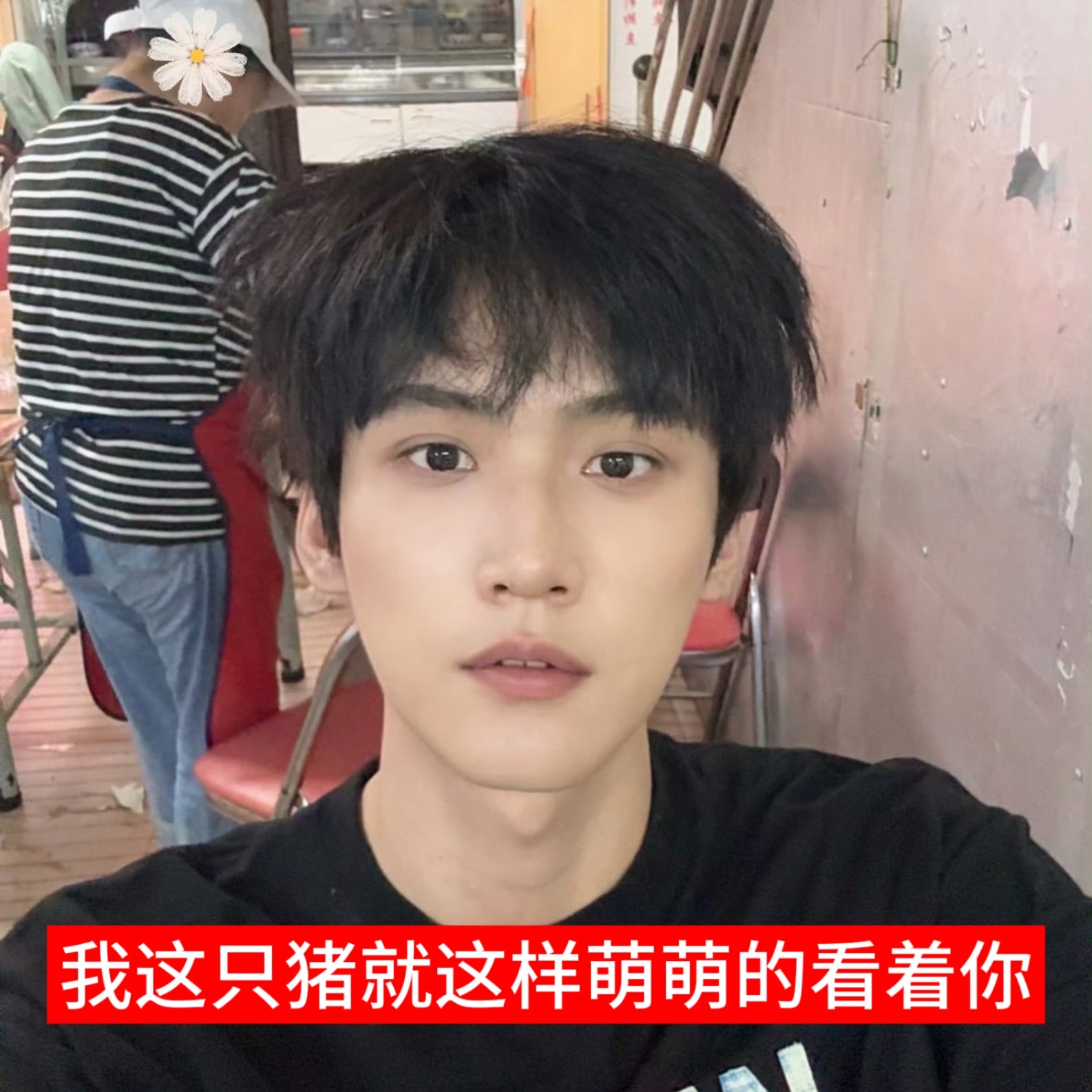 我家猪猪就是婴儿宝宝啊 ​​​