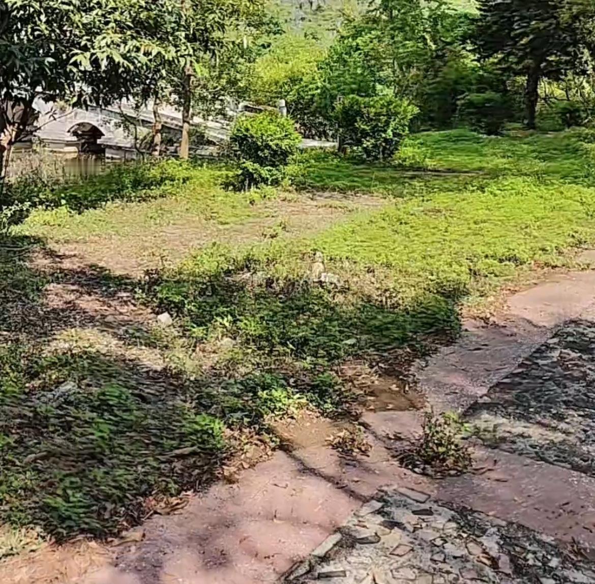 【玉林某地游玩感觉一幅荒凉景象】

近日，有网友吐槽称：