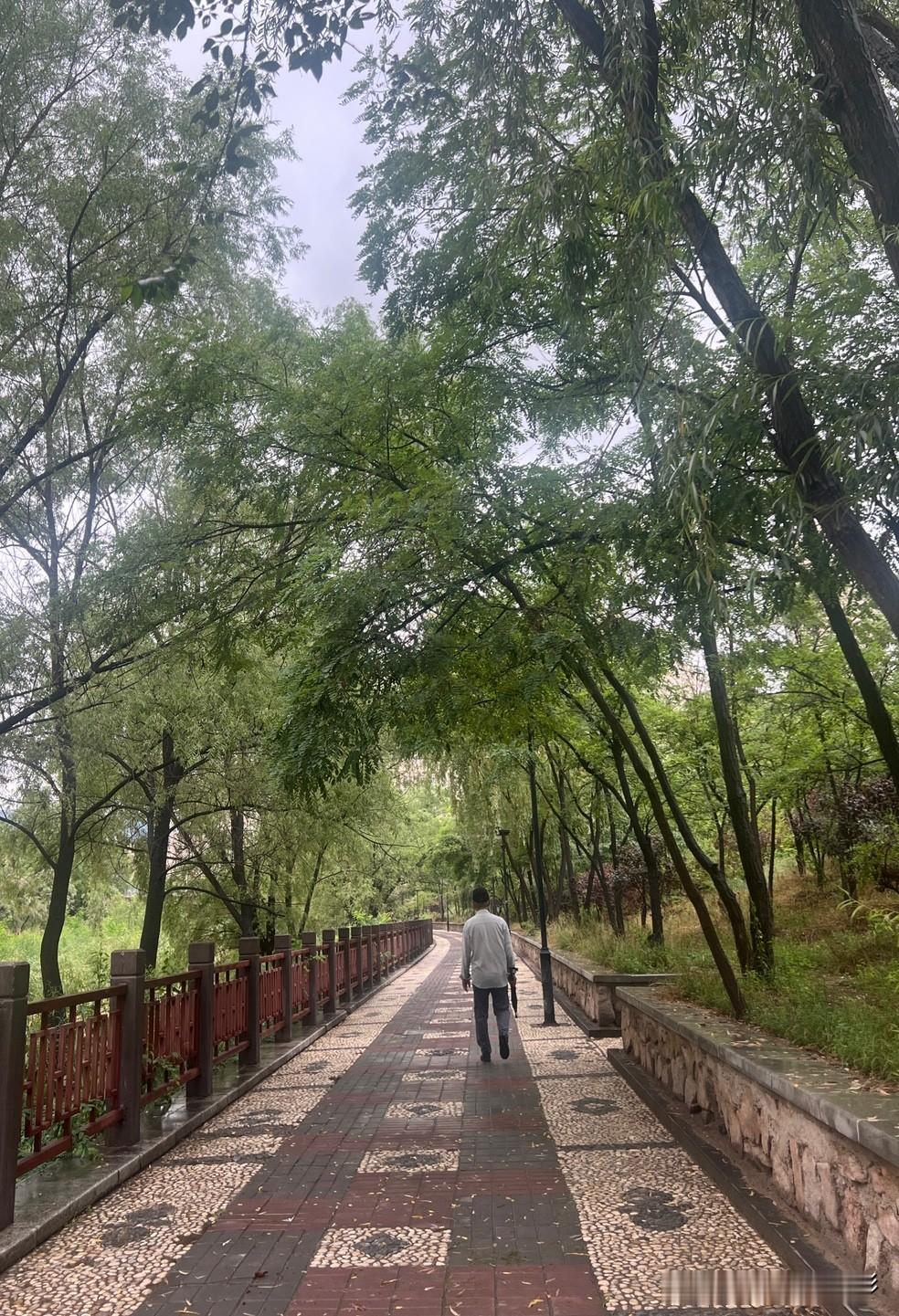 退休生活最大的乐趣是什么退休养老生活，每天有好心情，过得是舒心，身体健康最好！