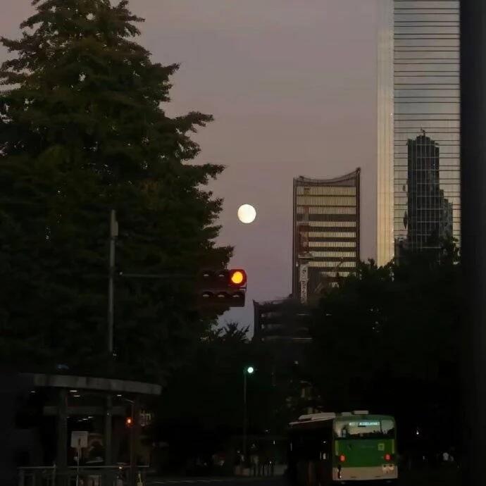 熬夜的本质是补偿自己 