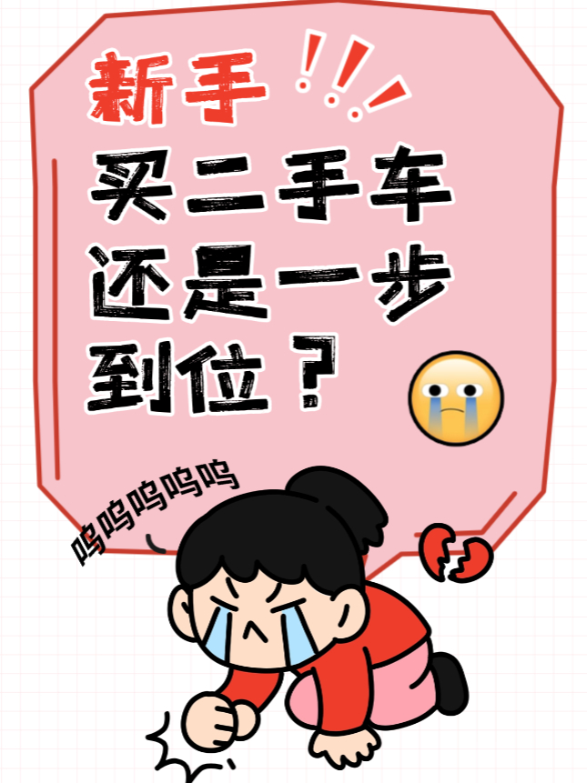 我的情况：纯新手司机，预算比较灵活。主要想买辆车市区代步、周末偶尔郊游。对车的要