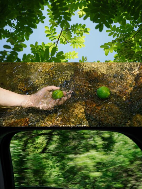摄影｜“夏日将至。”🍃🍃🍃🍃🍃