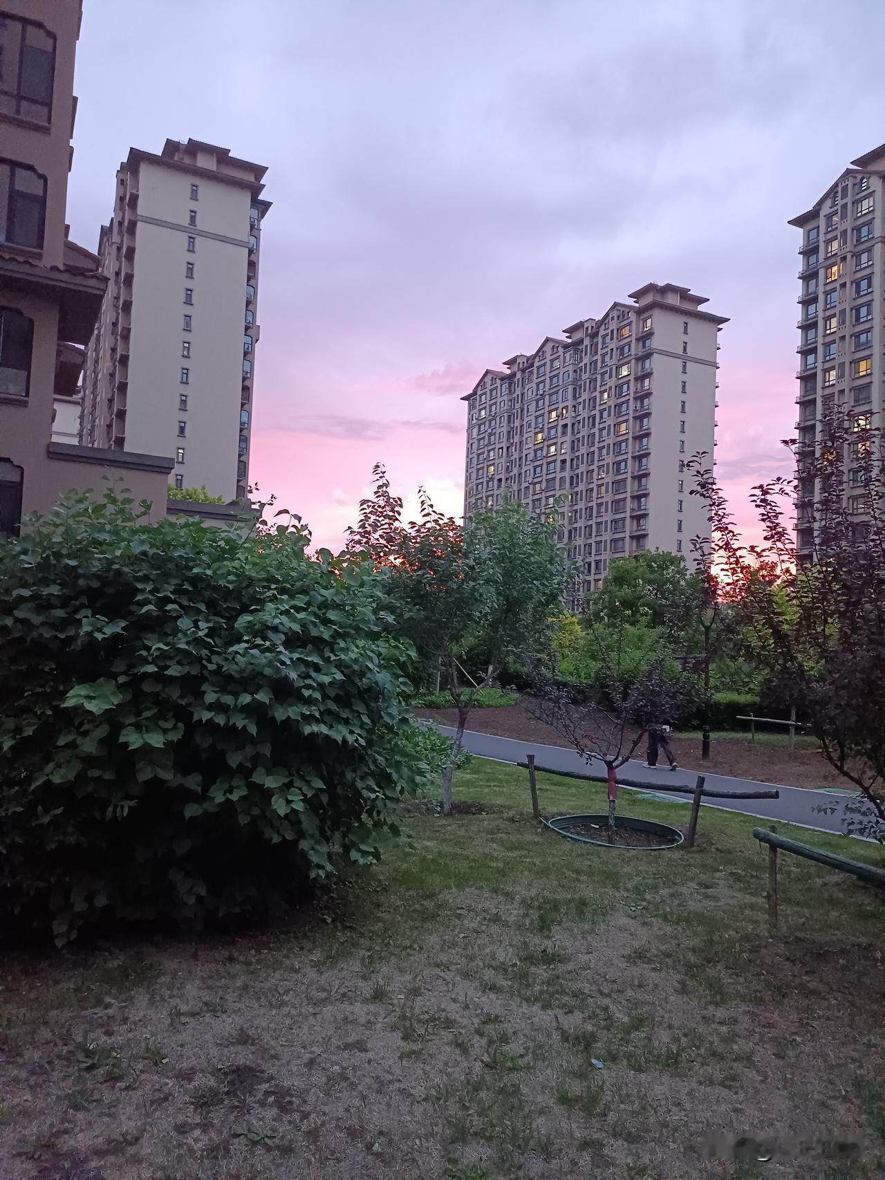 初夏景色美，花开草茂盛。花草沁心扉，晚霞映天边。
