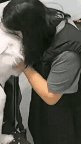 再温顺的宠物，
也别忘了它骨子里还是动物
 
真的要提醒所有养狗人，别因为平时跟