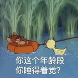 肉豆豆爱玩社会