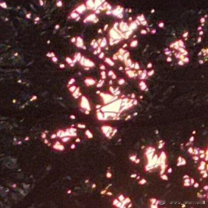 清风轻拂过窗台，书页翻动的声音像极了时光的低语。一杯热茶氤氲着暖意，窗外的灯火次