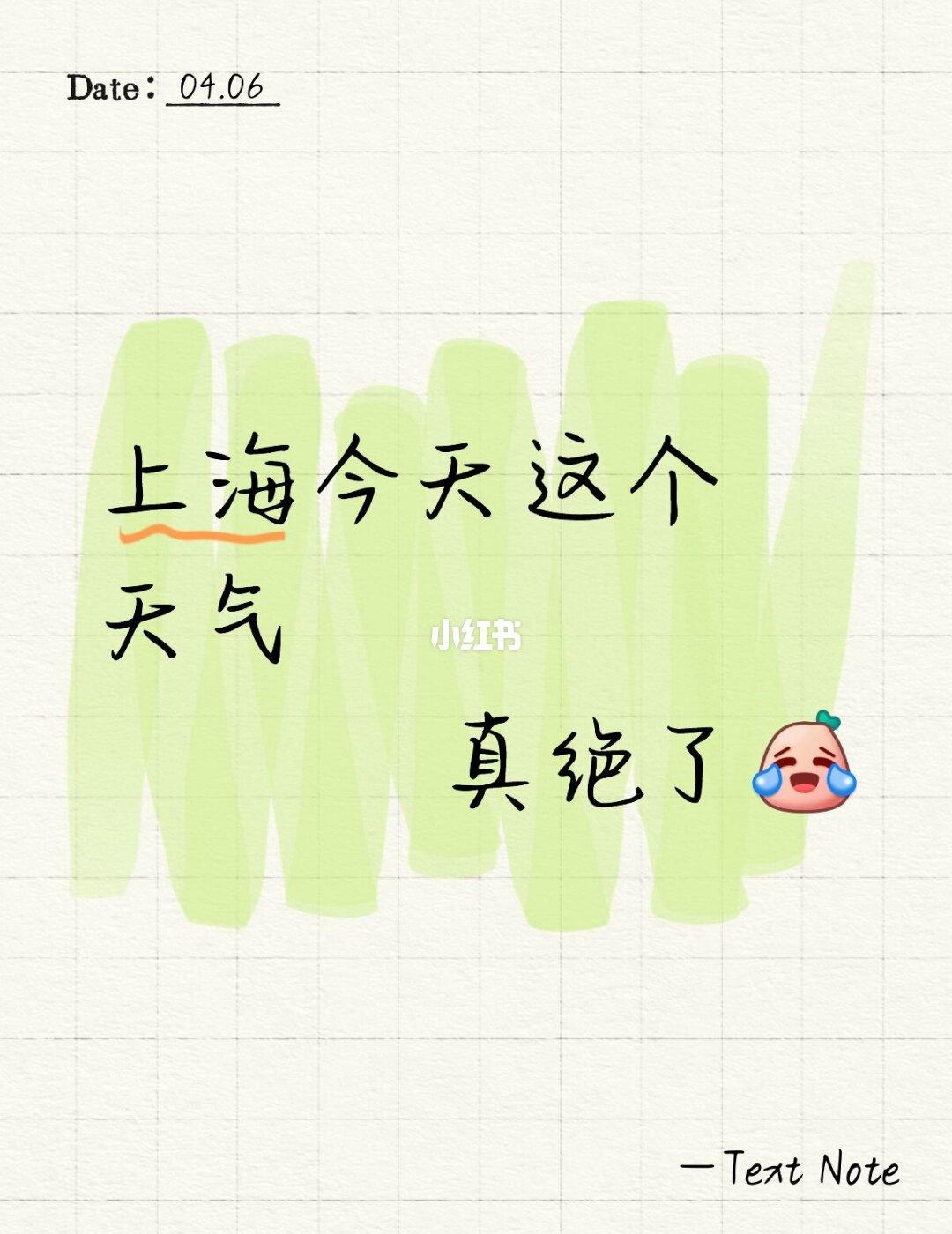 上海今天这个天气
真绝了[笑哭]