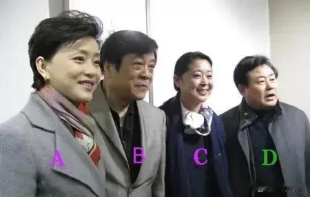 这照片的几位可是了不起的主持人！
A：杨澜，资深访谈节目主持人，
B：赵忠祥，最
