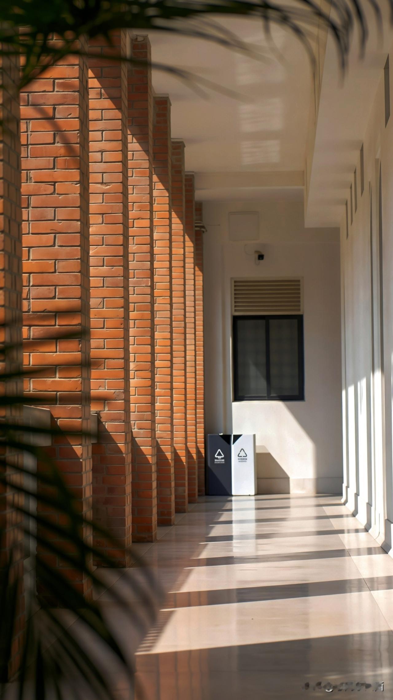 漫步广美，邂逅雕塑与红砖的艺术时光
漫步广州美术学院，感受浓厚的艺术氛围。红砖教