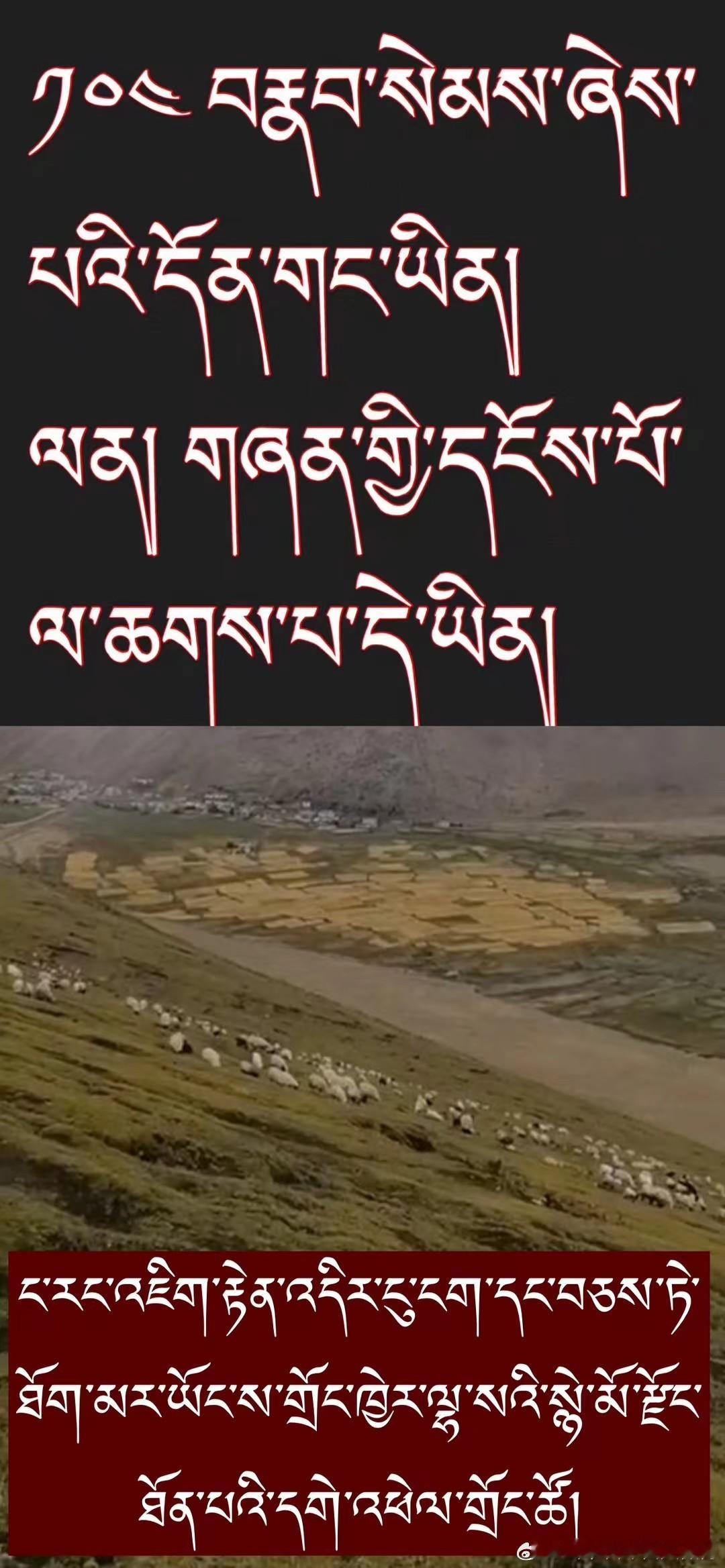 ༄༅། །ནང་ཆོས་སྐོར་གྱི་དྲི་བ་དྲིས་ལན།༼༧༽佛教