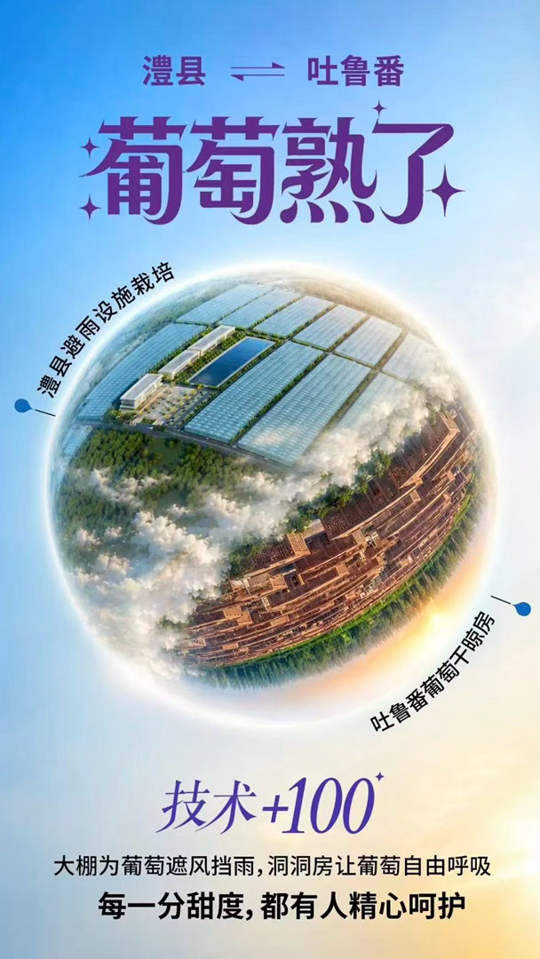 一颗葡萄串起三千公里的甜2026年的夏天一颗葡萄，串起三千公里的南北情缘，从湖南