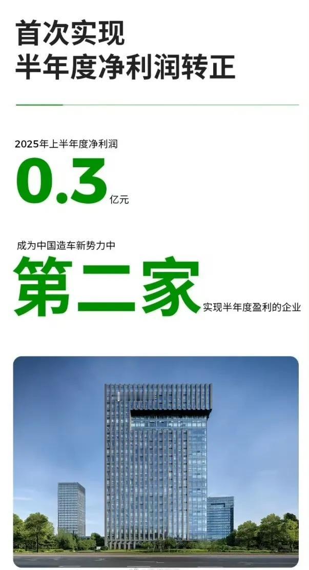零跑作为除了理想之外第二家开始盈利的车企，真的是非常不容易啊，从销量榜的登顶到利