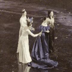 礼仪小姐拿着奖杯，碰了碰杨幂，杨幂刚要伸手，又缩回来，似乎反应很快，杨幂没接奖杯