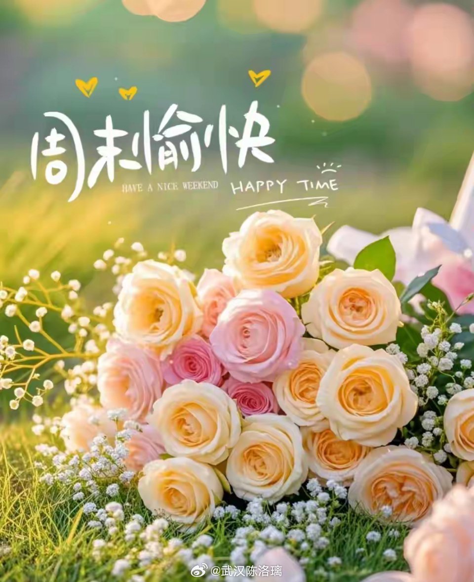 今年是科技牛，PCB、CPO、AI算力风光无限。出了很超牛股，什么“易中天”、“
