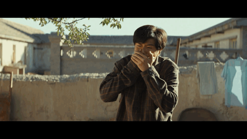 生命树亡队回忆录 每次看到巡山队全员聚在一起的画面，都能深深感受到他们之间的默契