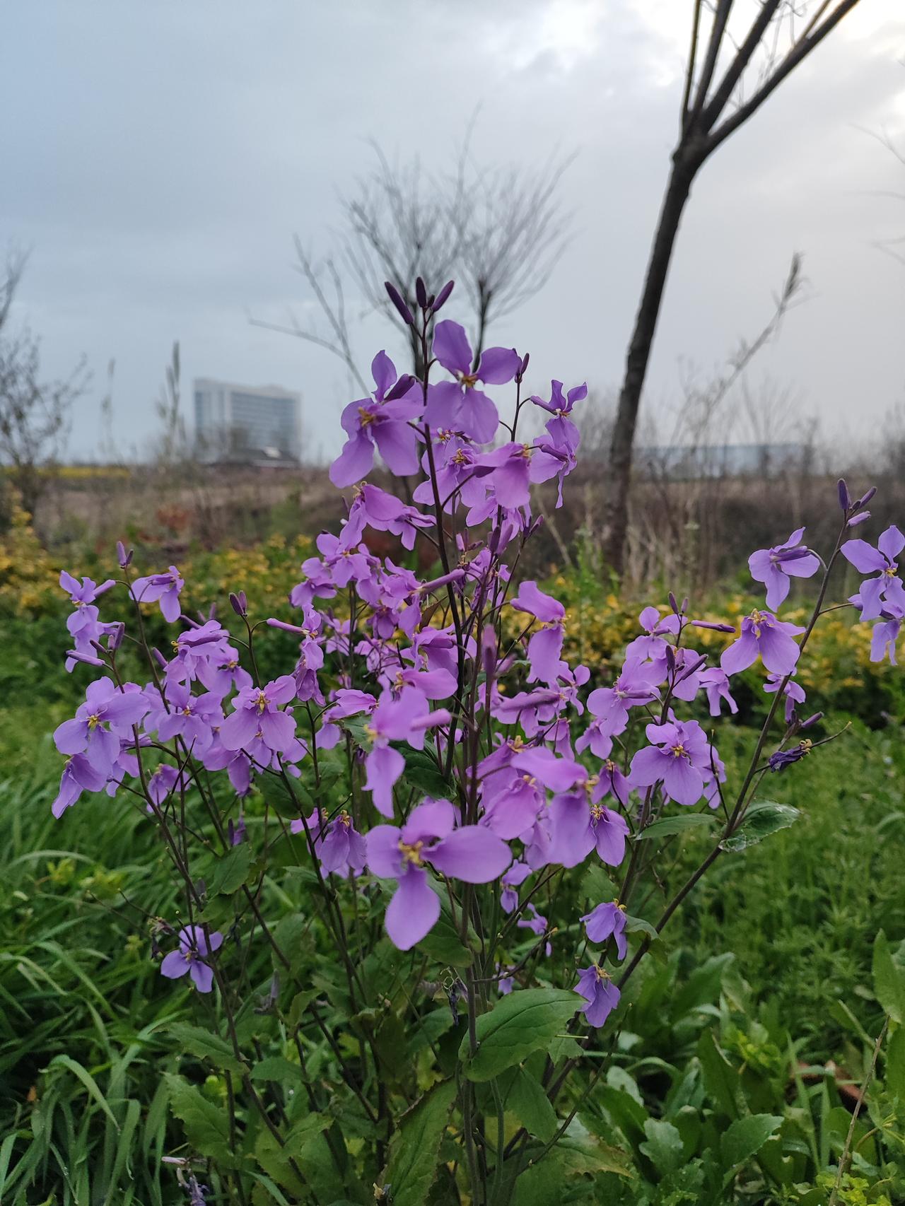 它意味着在喧嚣中守住本心，在得失里学会释怀，在困境中保持清醒。
是接纳不完美的自