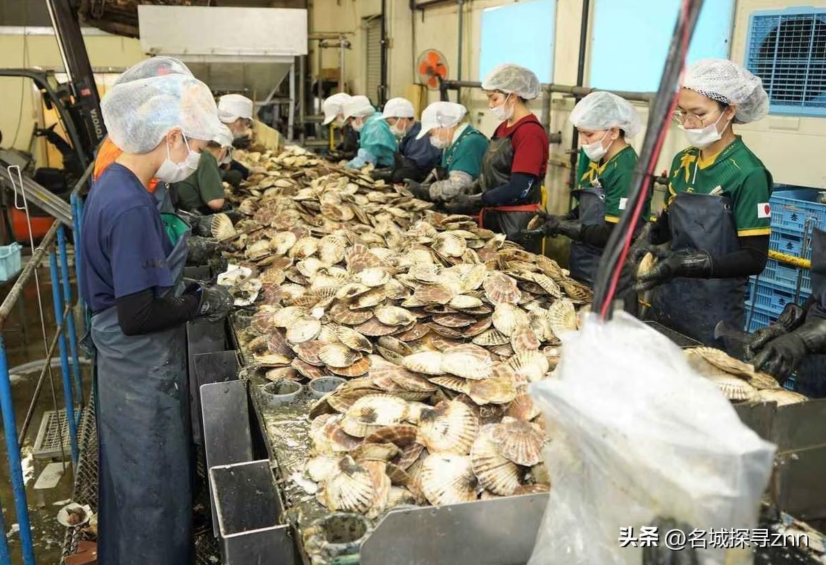 日本排放核水后，奇怪的事发生了：刚开始各国对海鲜避之不及，如今3年过去，核污染水