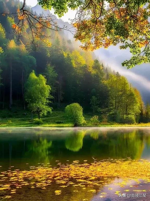 这条消息像一道闪电，划破了他成功的喜悦。他知道，家里从来不在这个时候打扰他，除非