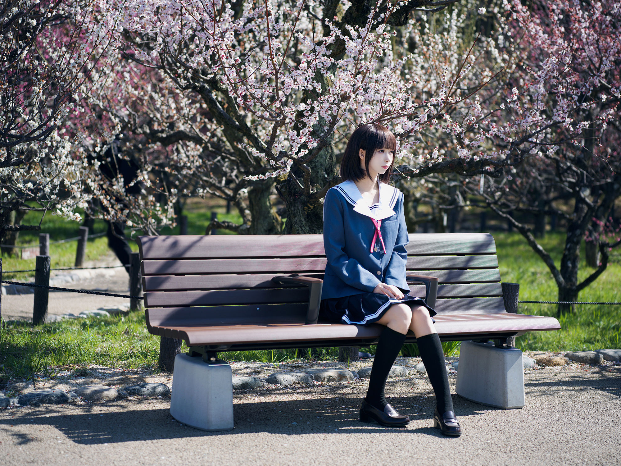 路人女主的养成方法加藤惠 桜📷​​​