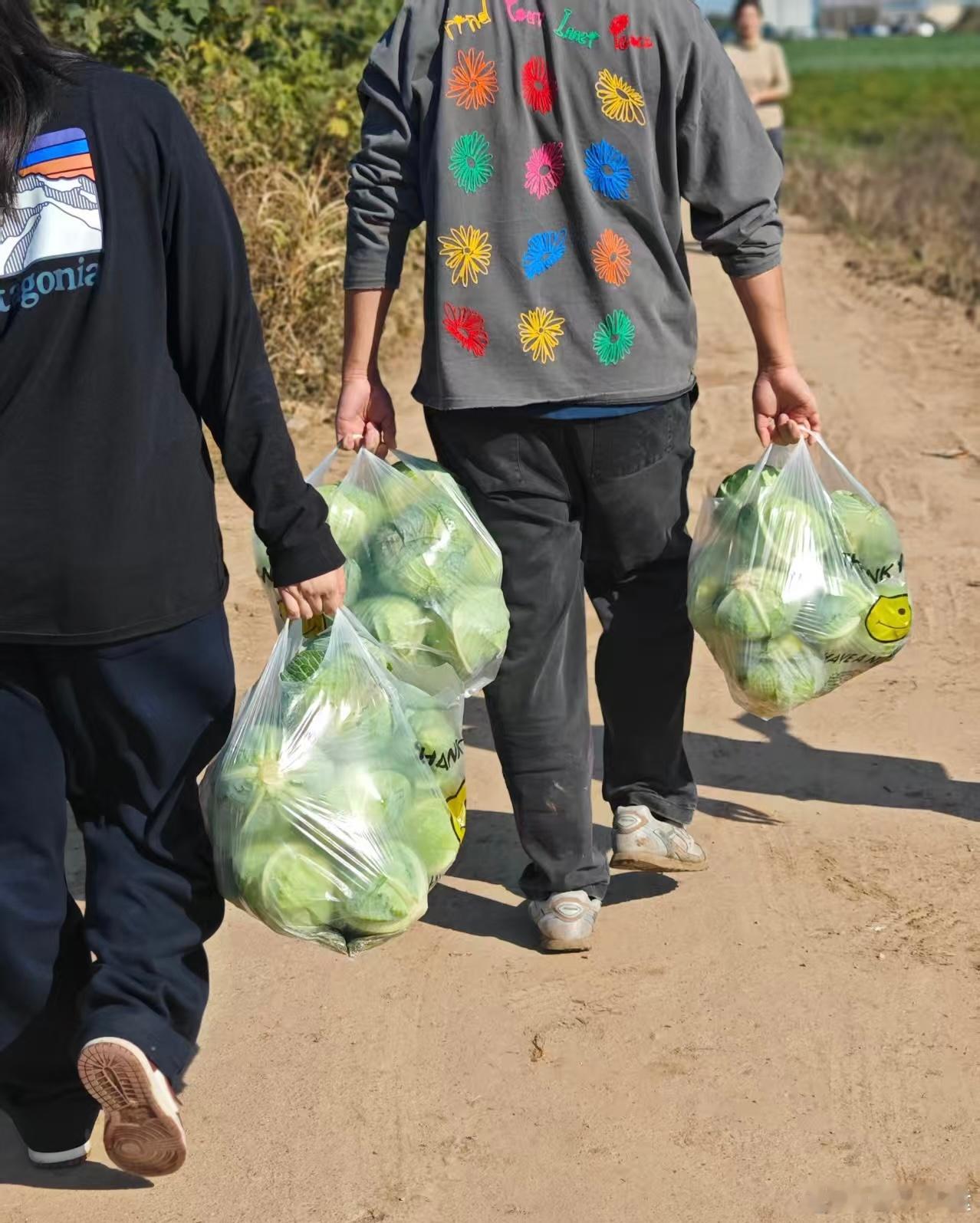 她们提的这些菜都是在我们家菜园采摘的，看着大家收获满满，开心有趣的乡村采摘乐趣，