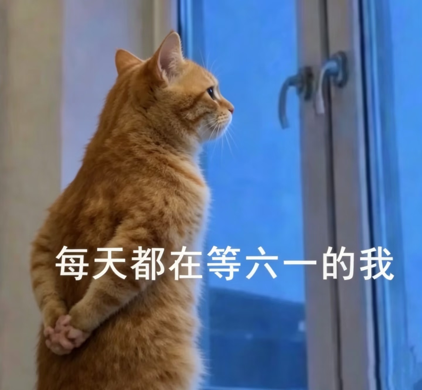 六一表演小朋友失误却意外出彩谁过节谁表演想起了小学表演节目的痛苦回忆，当了大人才
