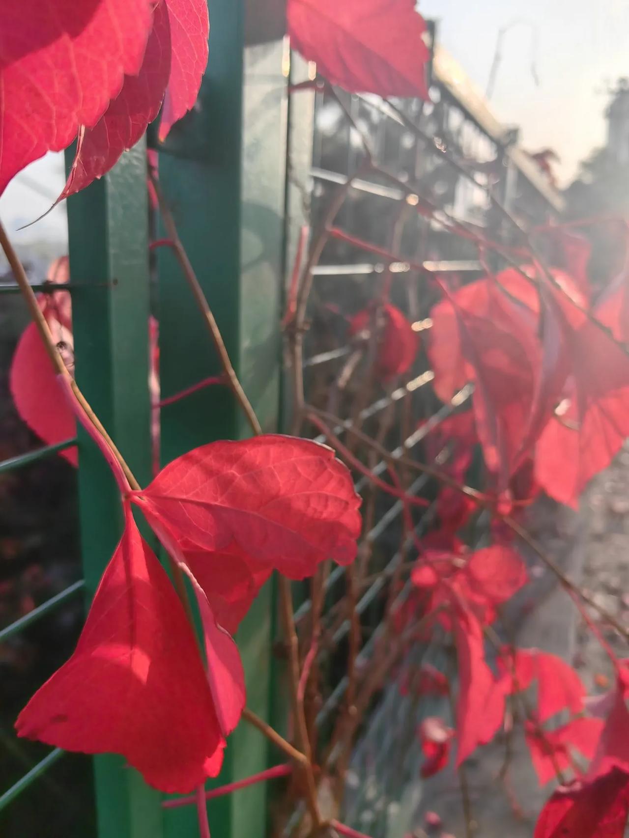 冬天到了，天气渐渐冷了，用户的暖气能不能够达标，家里能不能温暖，又是一个争论的话