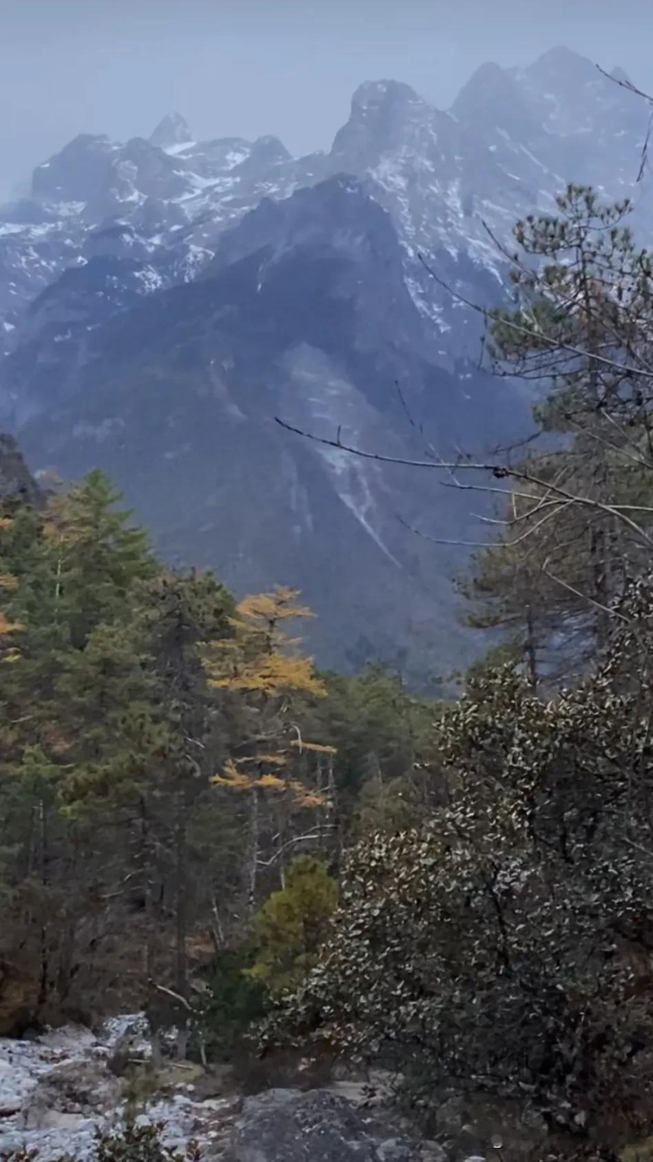 雪峰耸立，云雾缭绕，冬日山林的静谧之美。冬日美景留存 云雾里的山峰 哗啦崖的美景