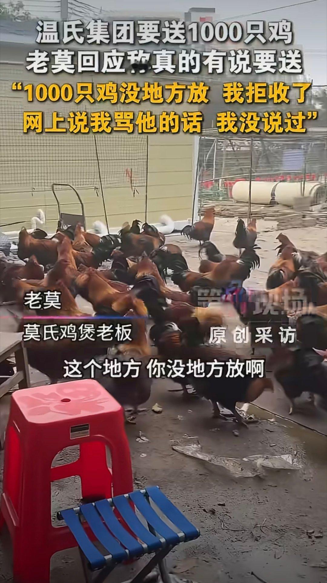 老莫因1000只鸡没地方放拒绝温氏看看这地方多少只鸡，这还是被吃了一大片剩下的，