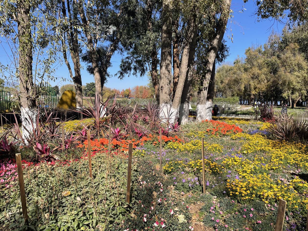 国务院出手整治烟草市场现在很难买到价格实惠的卷烟了。5元以下的基本没有了，10元