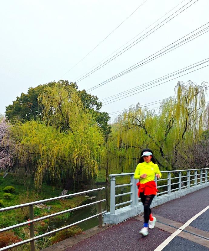 周四的晨光里，魔都苏醒，我准时打卡体育公园。脚步伴着微风轻快丈量，不知不觉竟走了