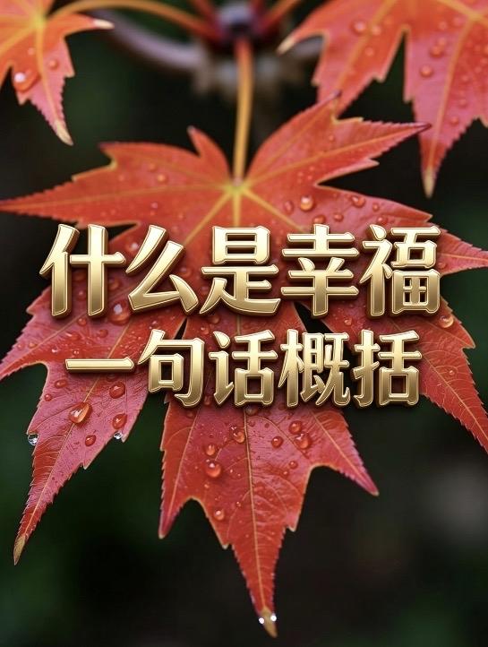 幸福不是永远站在光里，
而是像这片枫叶一样，
哪怕熬不过深秋，
也要把最后一寸绿